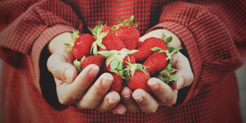 holding strawberries