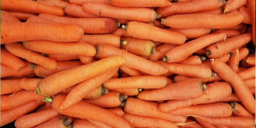 carrots_bannersnack carrots_bannersnack