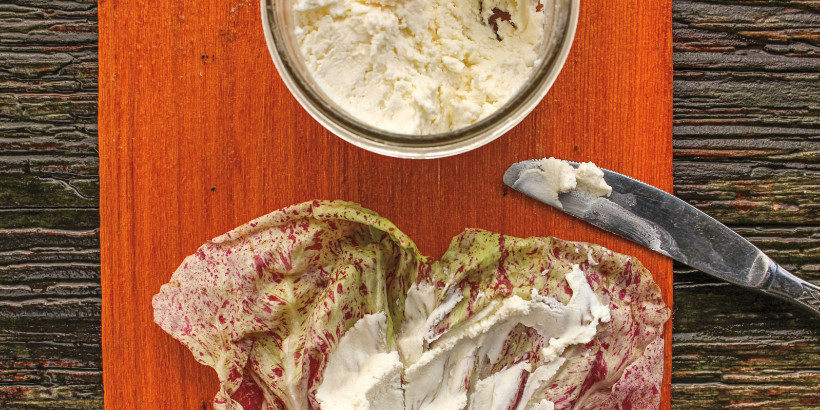 chevre_banner_artofnaturalcheesemaking-book