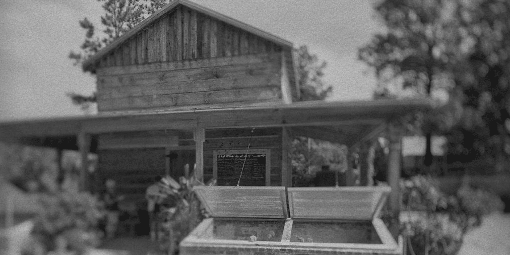 coldframe_banner_fourseasonharvest_book coldframe_banner_fourseasonharvest_book