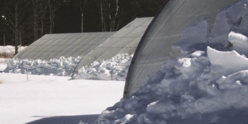 coldhouse_winterharvesthandbook_book winter gardening