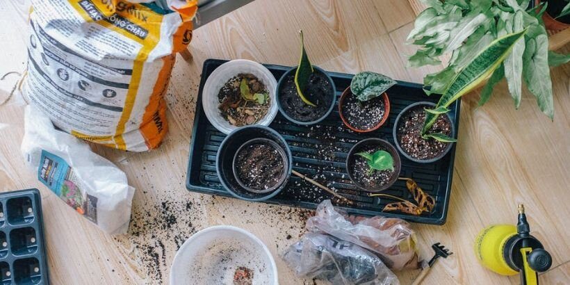 containergarden_bannersnack containergarden_bannersnack