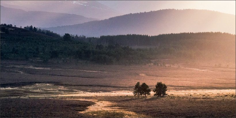 croft_wildfarminglife-High-Quality