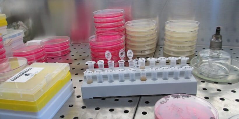 test tubes on table