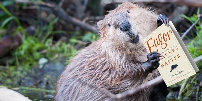 beaver with eager book