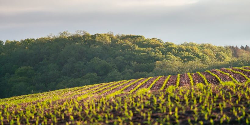 farming for the long haul_farmland_bannersnack farm land
