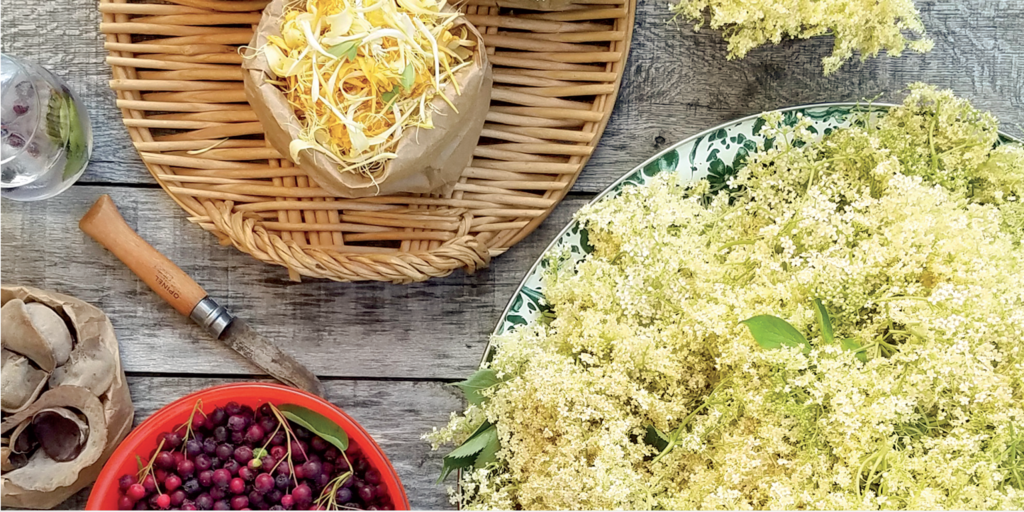 forageharvestfeastelderflower