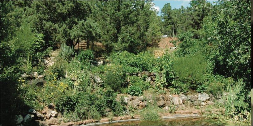 forestgarden_gaiasgarden_book forestgarden_gaiasgarden_book