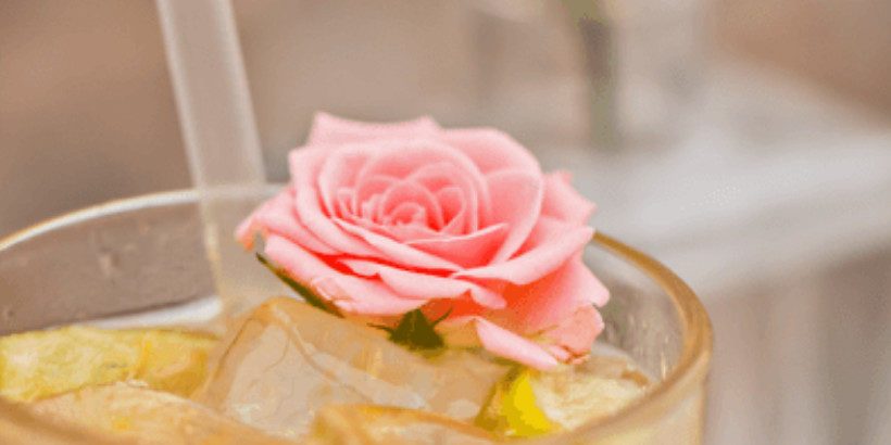 full-moon-feast_hibiscus-rose-soda_bannersnack-panorama full-moon-feast_hibiscus-rose-soda_bannersnack-panorama