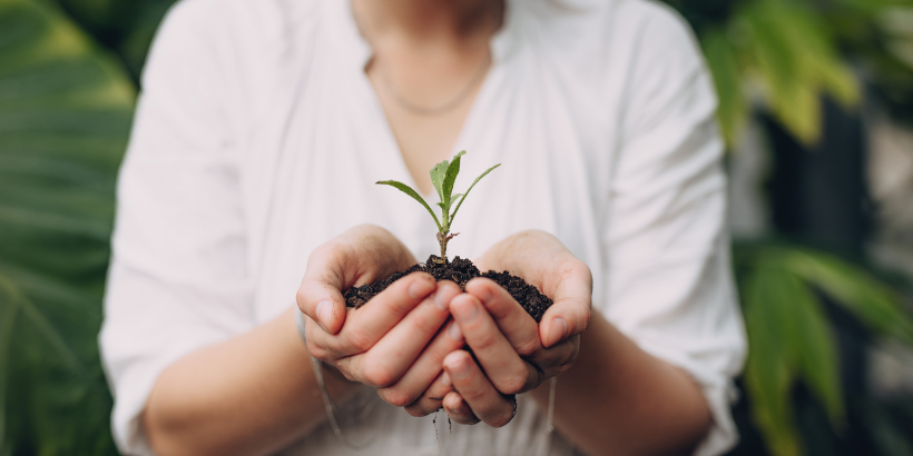 garden_banner_canva garden_banner_canva