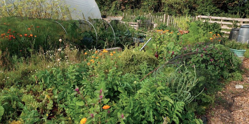 garden_mulching_bannersnack garden_mulching_bannersnack