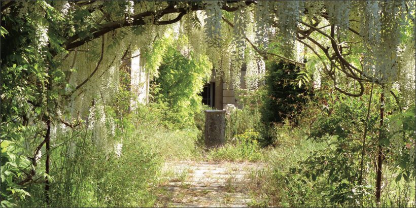 gardendesign_ecologicalgardener_book