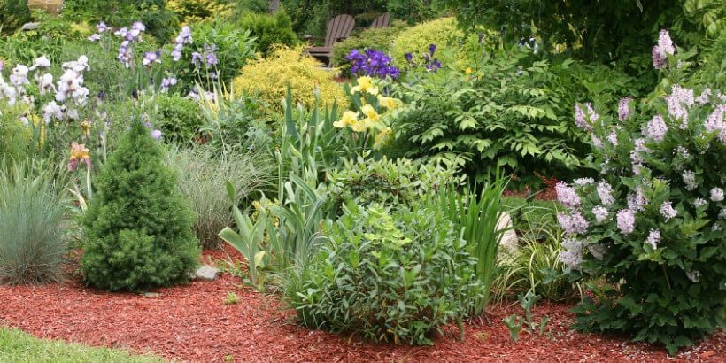 gardenoasis-banner garden