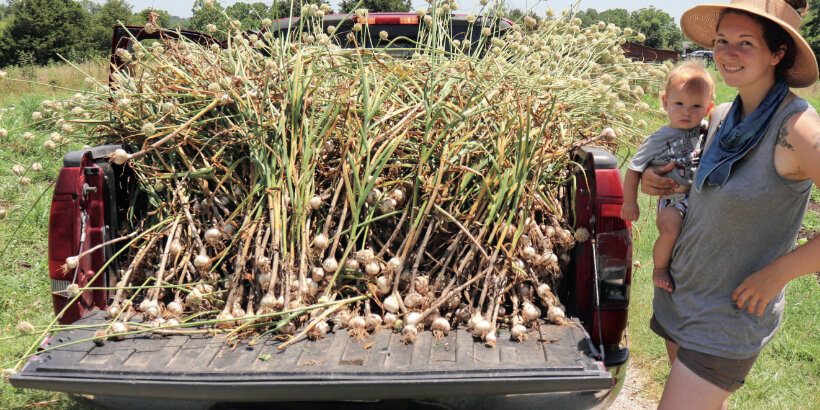 garlic_livingsoilhandbook_book garlic growing