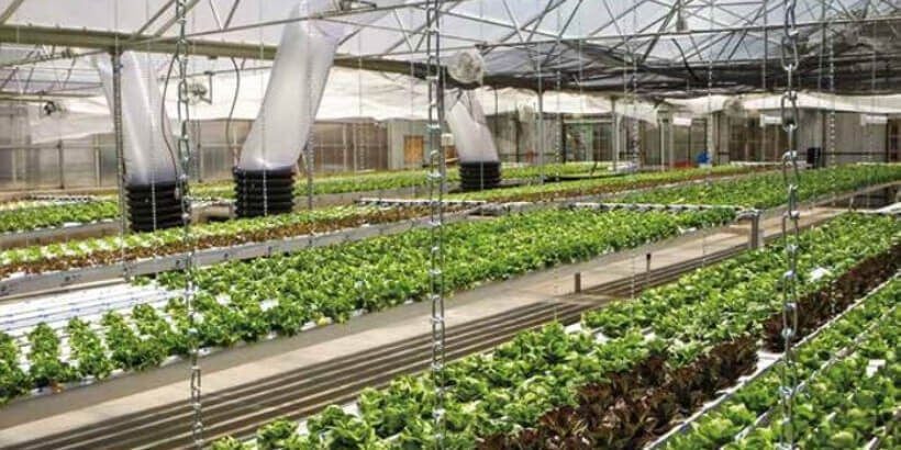 greenhouse_banner_forestgardengreenhouse_book crop protection