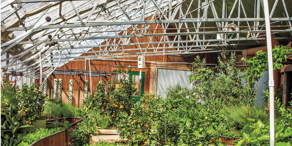 building your own greenhouse