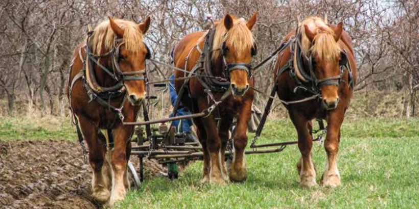 horsepowered_banner draft power