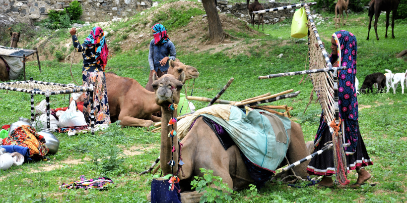 humansandanimals_banner_hoofprints_book humansandanimals_banner_hoofprints_book