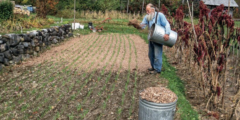 Your Chipper Shredder Guide - What Can You Put Through?