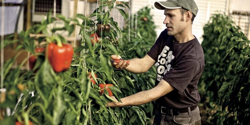 leanfarm_banner_book leanfarm_banner_book