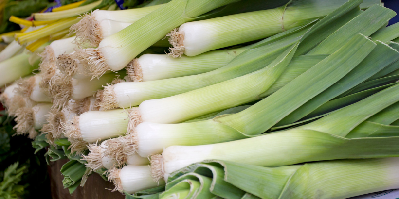 leeks_banner_canva leeks_banner_canva