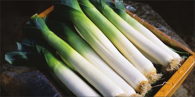 leeks_winterharvesthandbook-Max-Quality leeks_winterharvesthandbook-Max-Quality