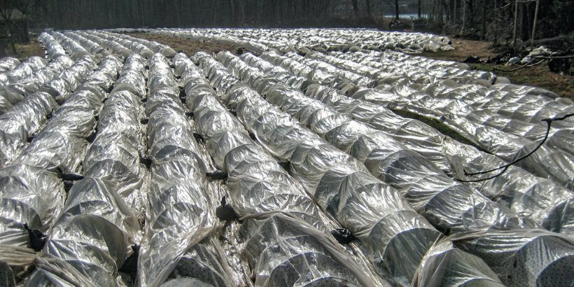 lowtunnel_banner_notill_book low tunnel