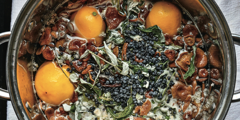 mushroombeer_wildcraftedcuisine_book mushroom beer