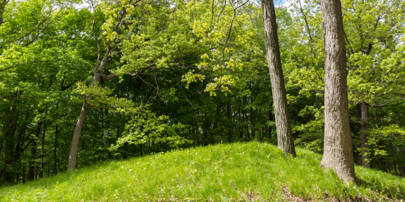 naturalburial_canva natural burials