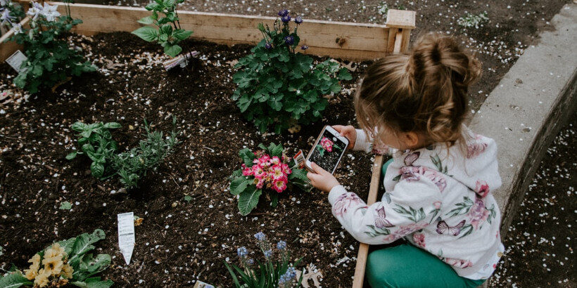 young girl taking a picture of plants in soil bed