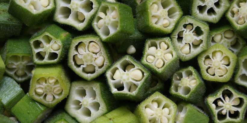 okra_Bannersnack-High-Quality (1) okra_Bannersnack-High-Quality (1)