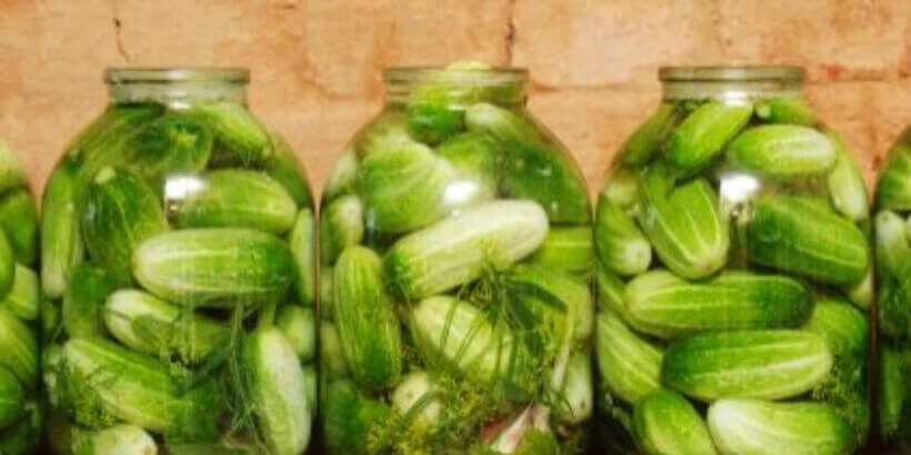 pickles in three jars