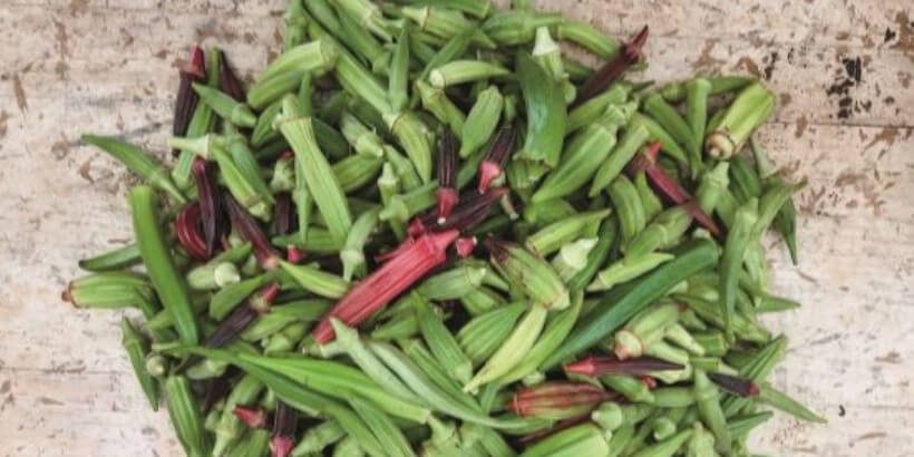 pile of okra blog pile of okra