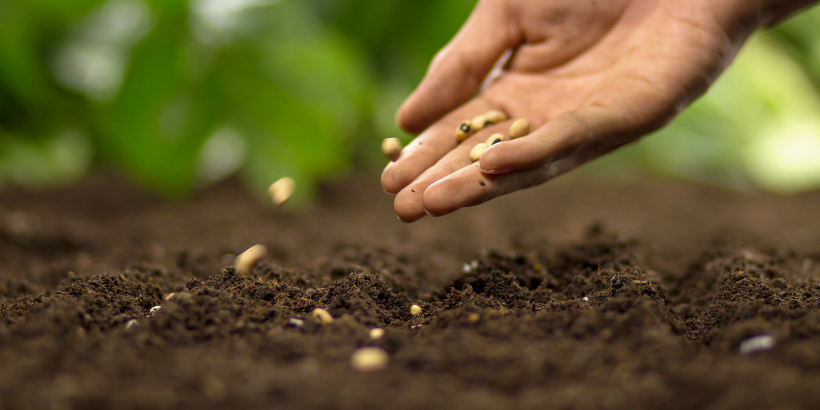 plantingseed_banner_canva