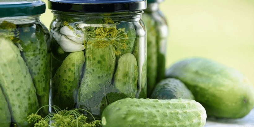 preserving_banner_bannersnack preserve food