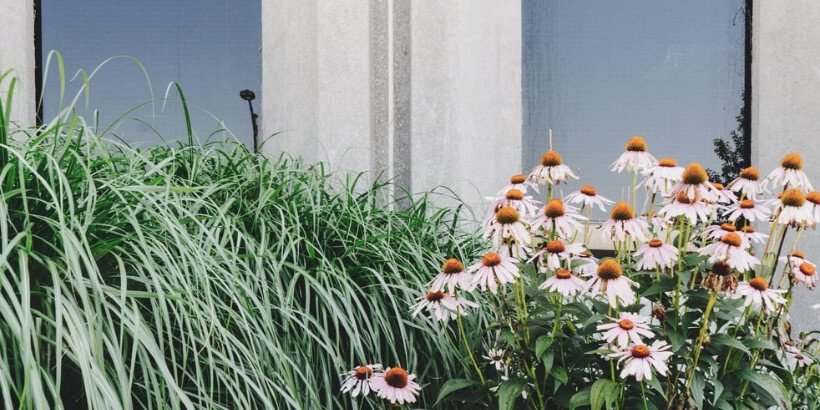 rebugging_bannersnack rebugging