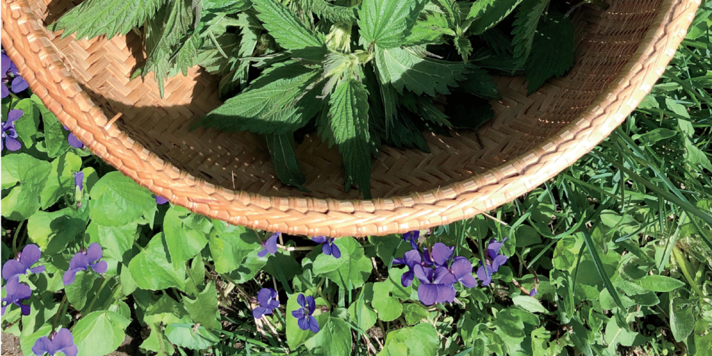 regengrowersguide_soilamendments regengrowersguide_soilamendments