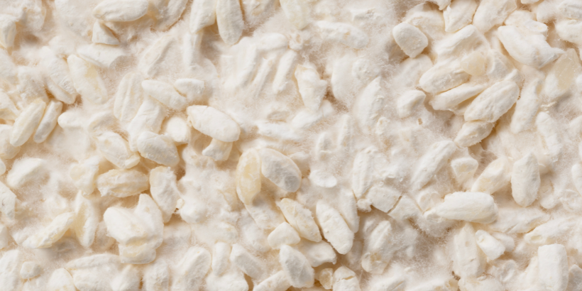 ricekoji_canva_banner rice koji