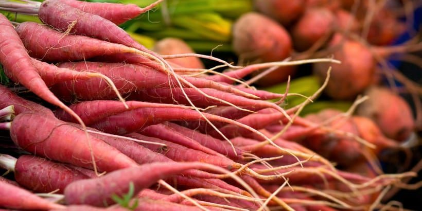 root_veggies_FourSeasonHarvest_book root cellar