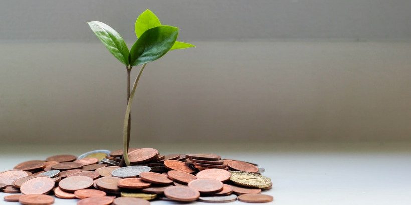 seeding the future-bannersnack-High-Quality (1) seeding the future-bannersnack-High-Quality (1)