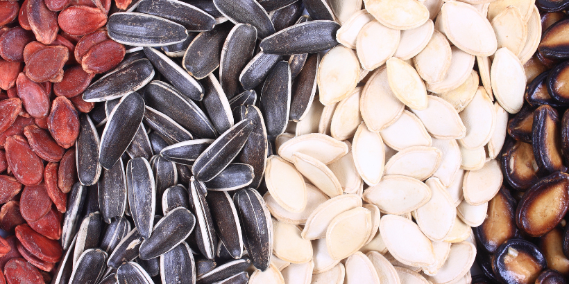 seeds_banner_canva keeping seeds organized