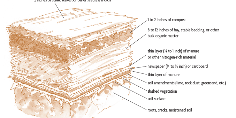 sheet mulch diagram