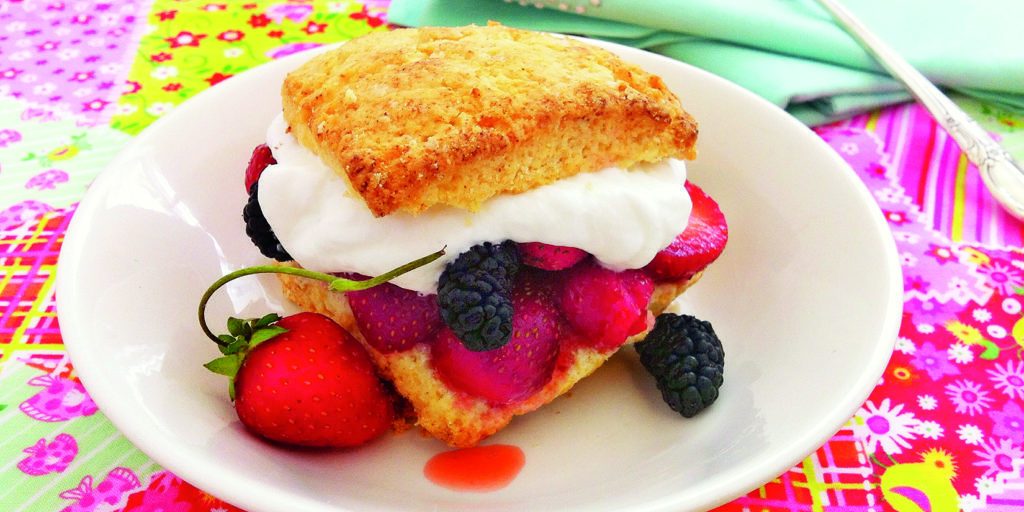 shortcake_bannersnack wild strawberries