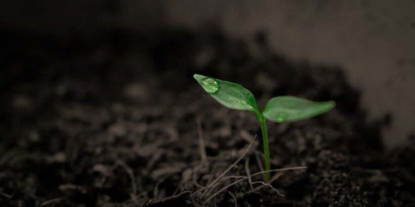 soil_banner_bannersnack testing soil