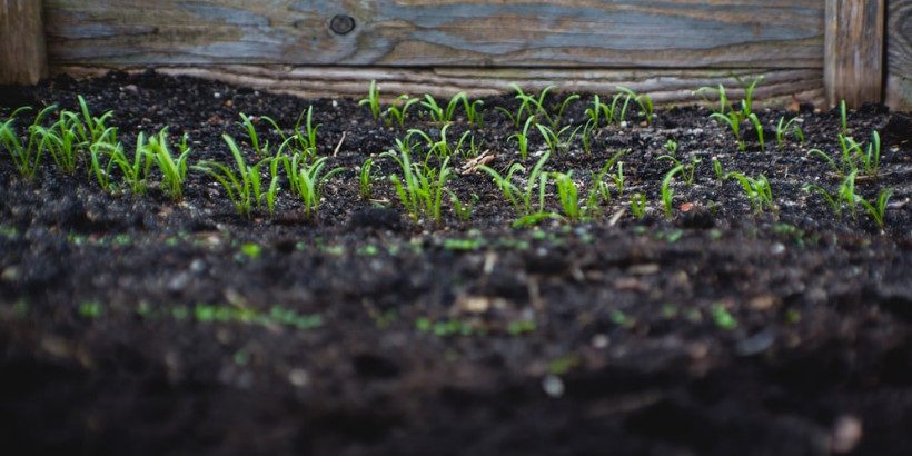 soil_banner_notill_book soil fertility