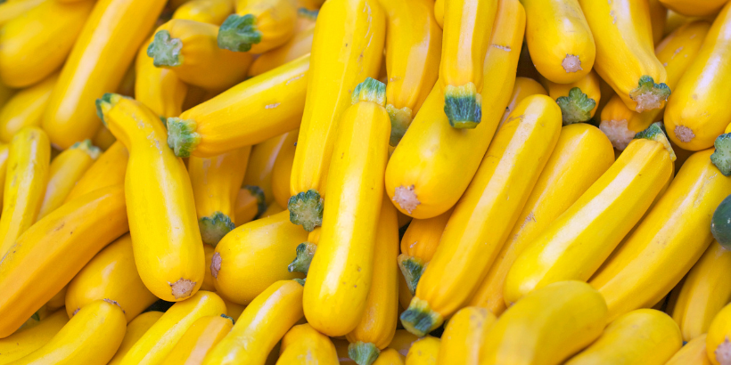 summersquash_banner_canva squash