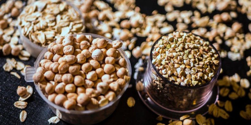 tao_seeds_bannersnack seed saving