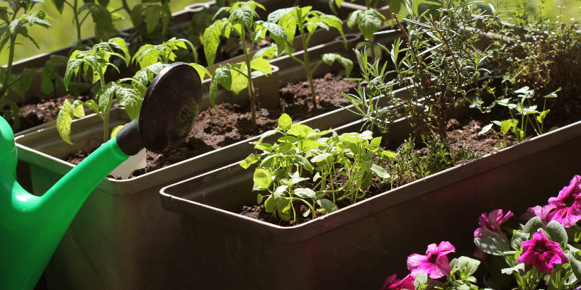 Metal Seed Storage Container - Seed Saver Kit, Gardeners.com