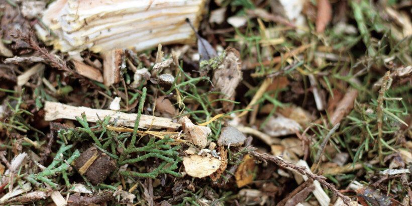 woodchip_banner_woodchiphandbook_book woodchip_banner_woodchiphandbook_book