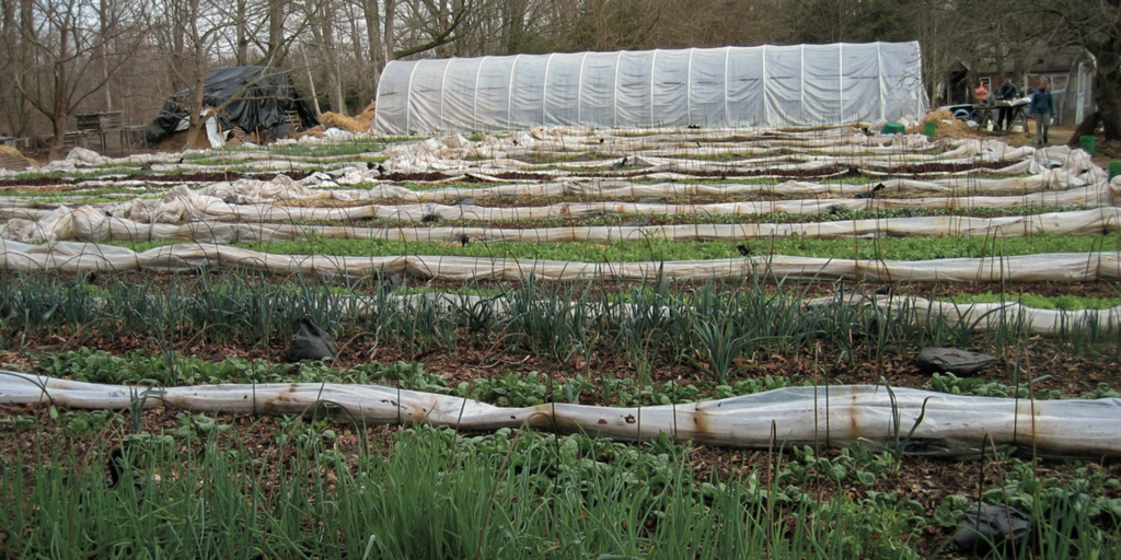 yearroundbanner_notill yearroundbanner_notill